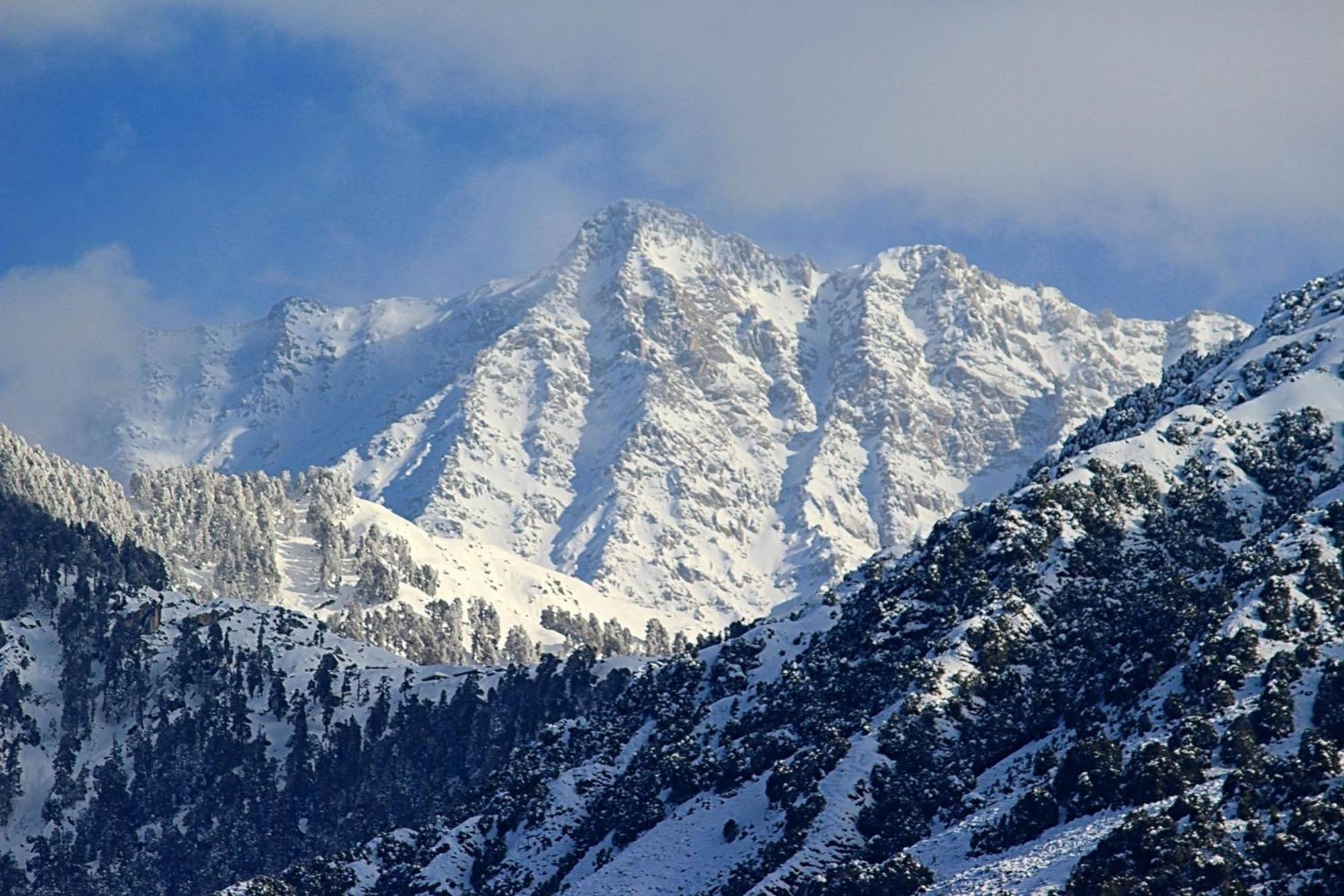 Hotel Bliss Valley Dharamshala - Beautiful View Of Mountains From Rooms Eksteriør billede